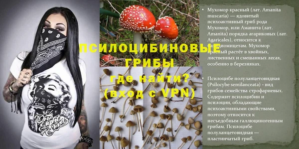 метамфетамин Козловка