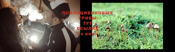 метамфетамин Козловка