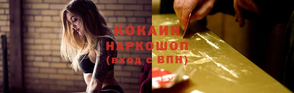 сатива Кодинск