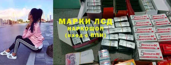 сатива Кодинск