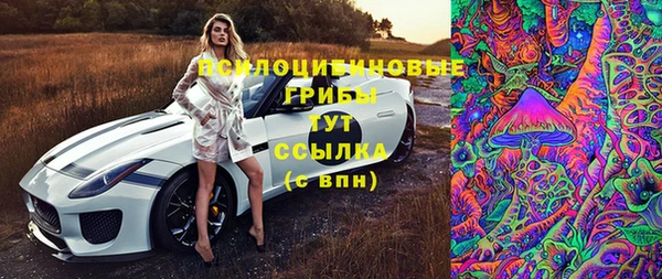 метамфетамин Козловка